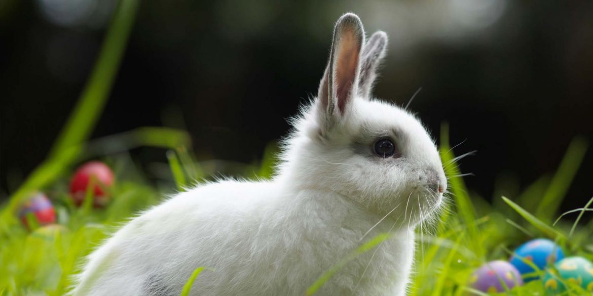 Kinderwunsch, Bielefeld, Ostern 2026